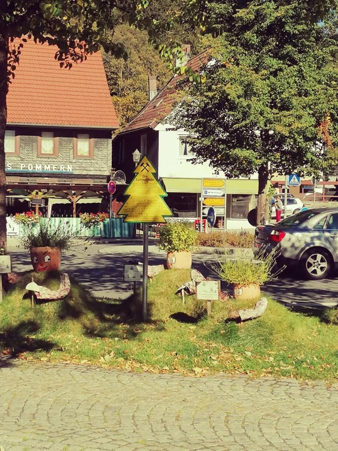 Crisand 2 Bergen Altenau  Buitenkant foto